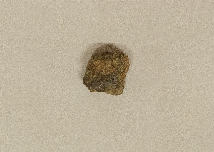 MS1798.49
