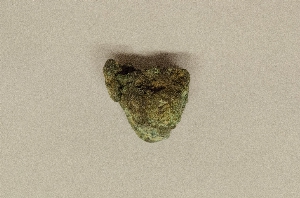 MS1798.81