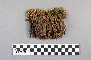 29-27-40
