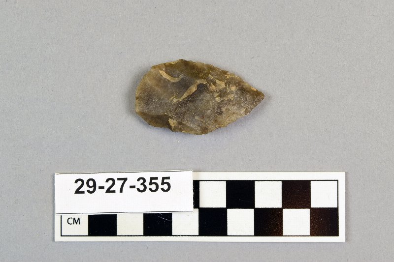 481795