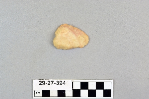 29-27-394