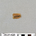 481964