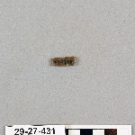481968