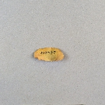 482505