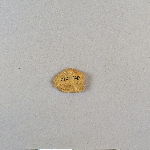 482523