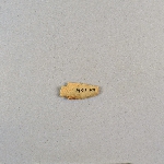 482529