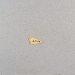 482535
