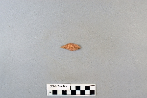 29-27-746