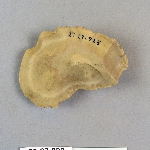 482903
