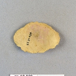 482905