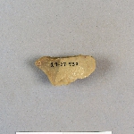 482907