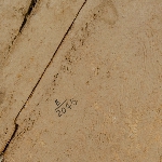 483221