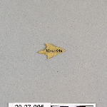 483328