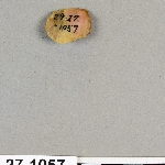 483427