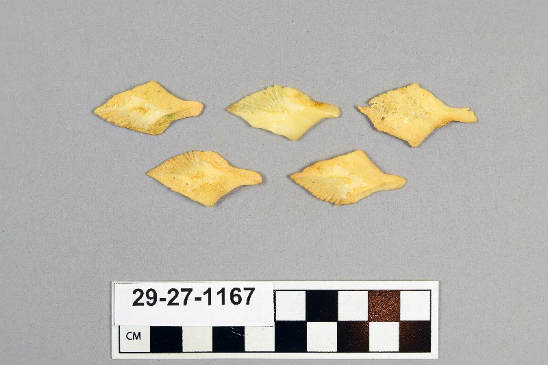 483645