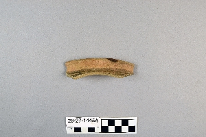 29-27-1445A
