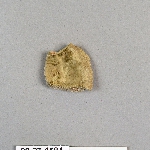 484521