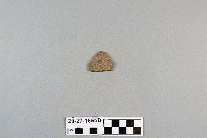 29-27-1655D