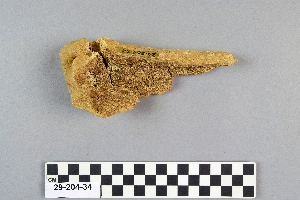 29-204-34