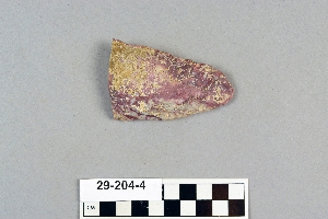 29-204-4