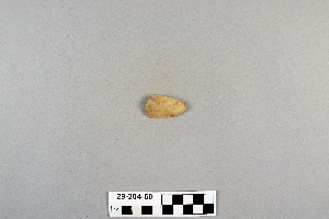 29-204-60
