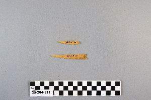 29-204-211