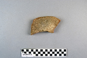 29-204-106