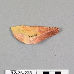 485546
