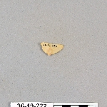 486804