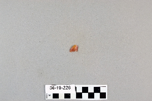 36-19-226