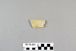 36-19-251