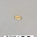 486873