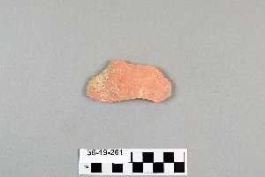 36-19-261