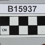486961