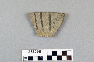 23309B