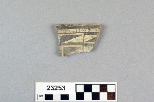 23253