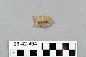 29-42-494