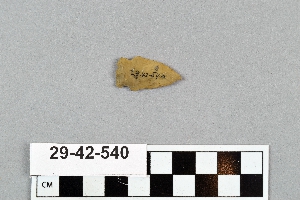 29-42-540