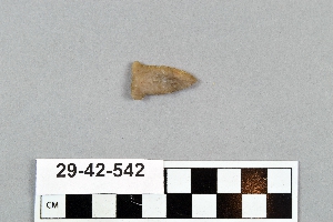 29-42-542