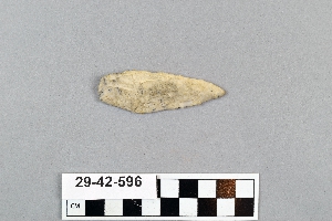 29-42-596