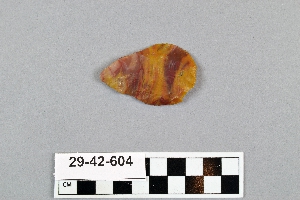 29-42-604