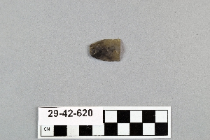 29-42-620