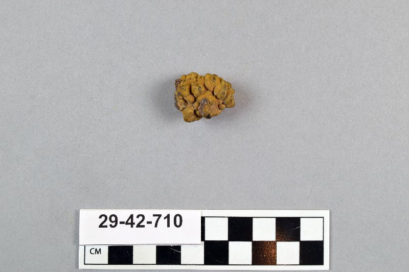 489172
