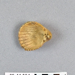 489810