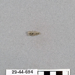490630