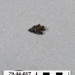 490719