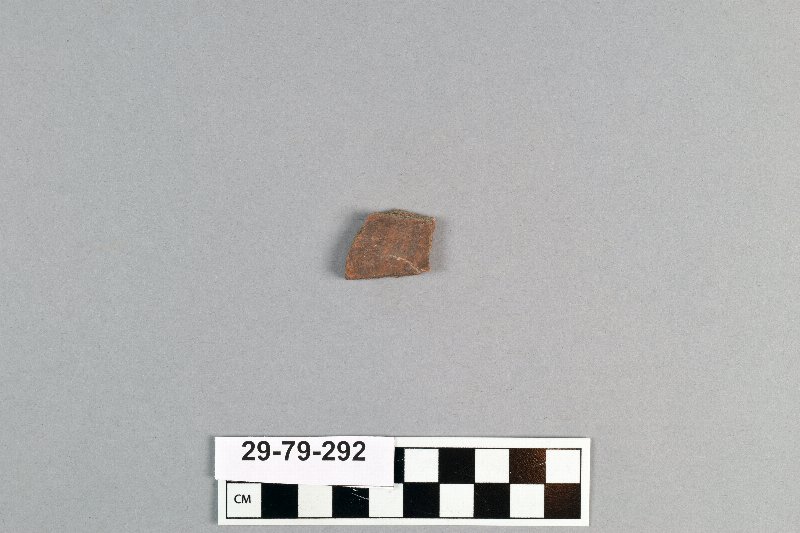 491461