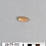 491481