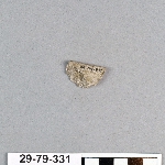 491557