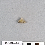 491588